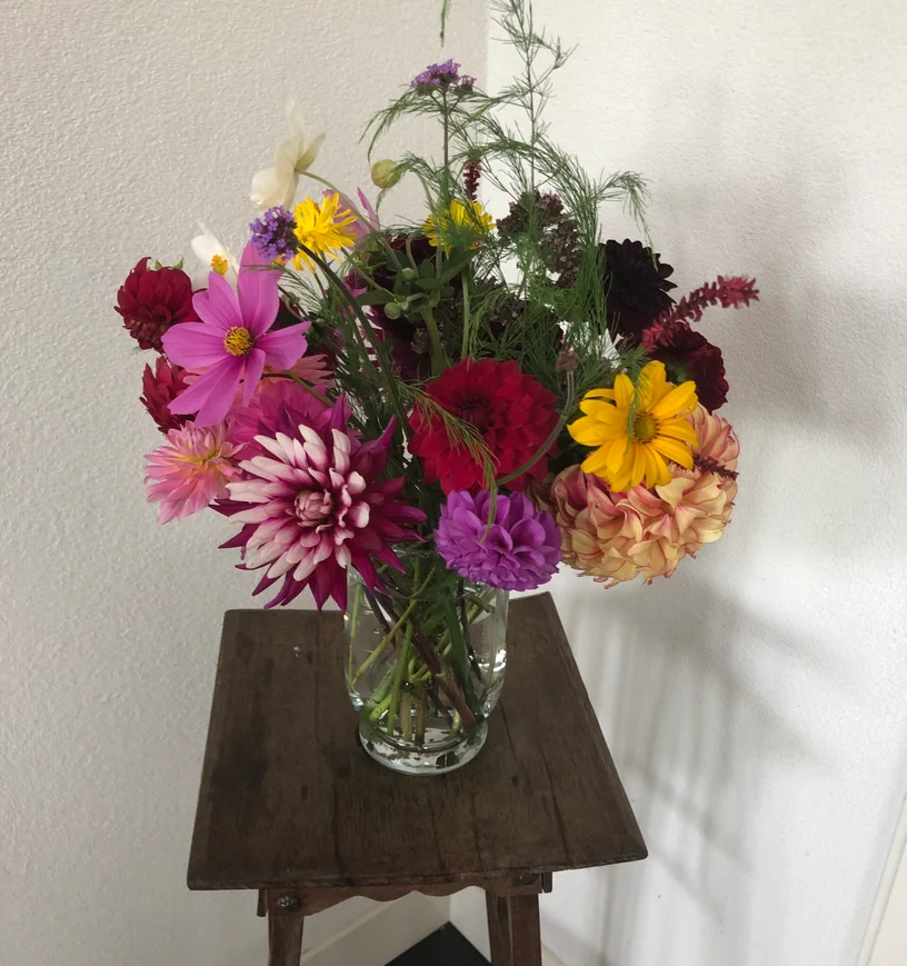 happycountrylife-dahlia
