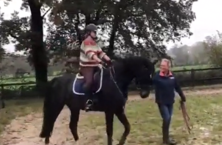 happycountrylife-de training van Ruby