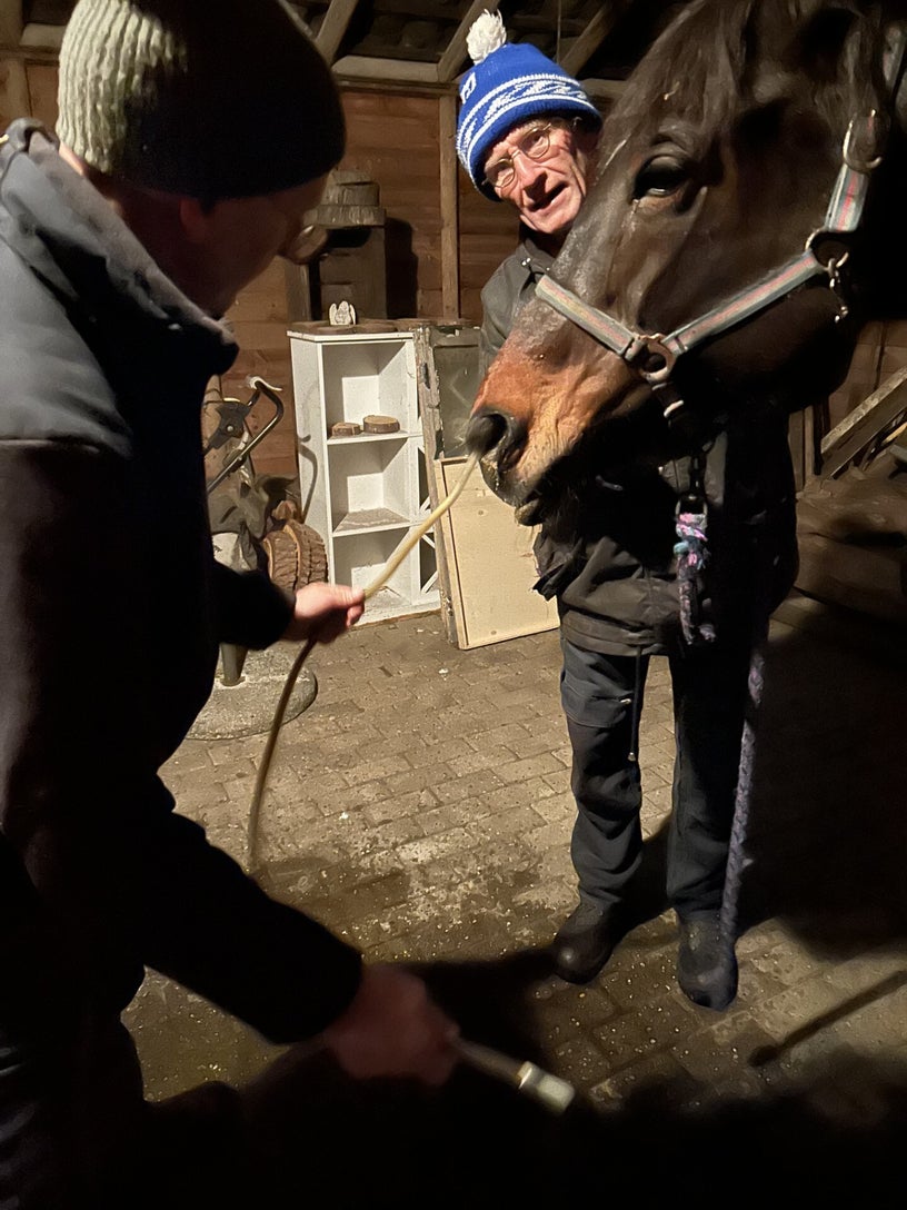 happycountrylife-dierenarts-op-bezoek