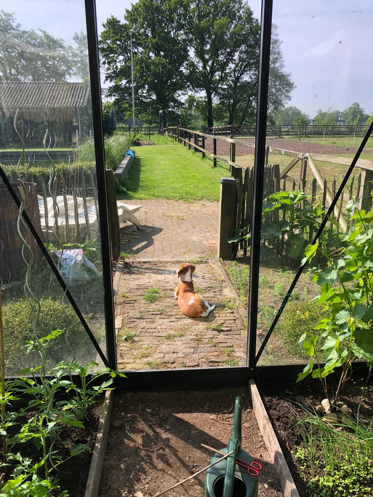 happycountrylife-druk-in-de-kas-1