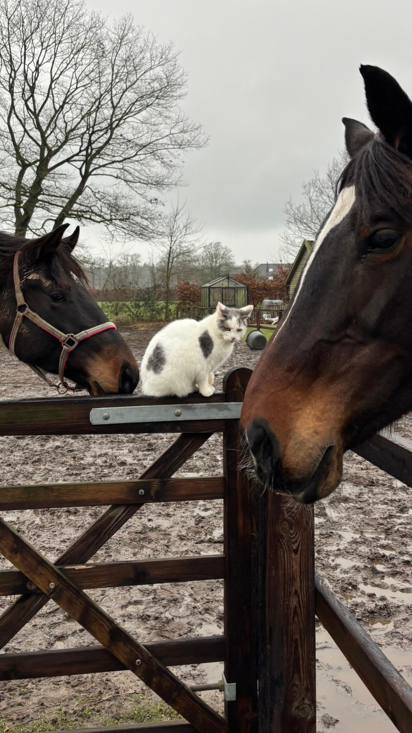 happycountrylife-foto waard