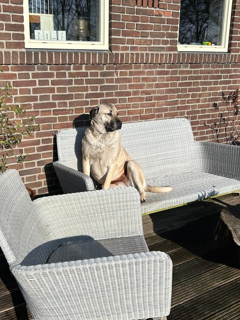 happycountrylife-genieten in het zonnetje-Layla