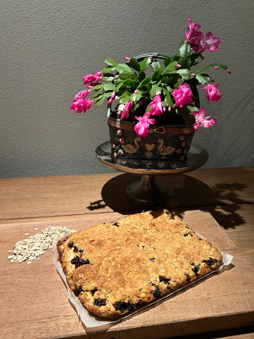 happycountrylife-havermoutkoek-met-appel-en-cranberries