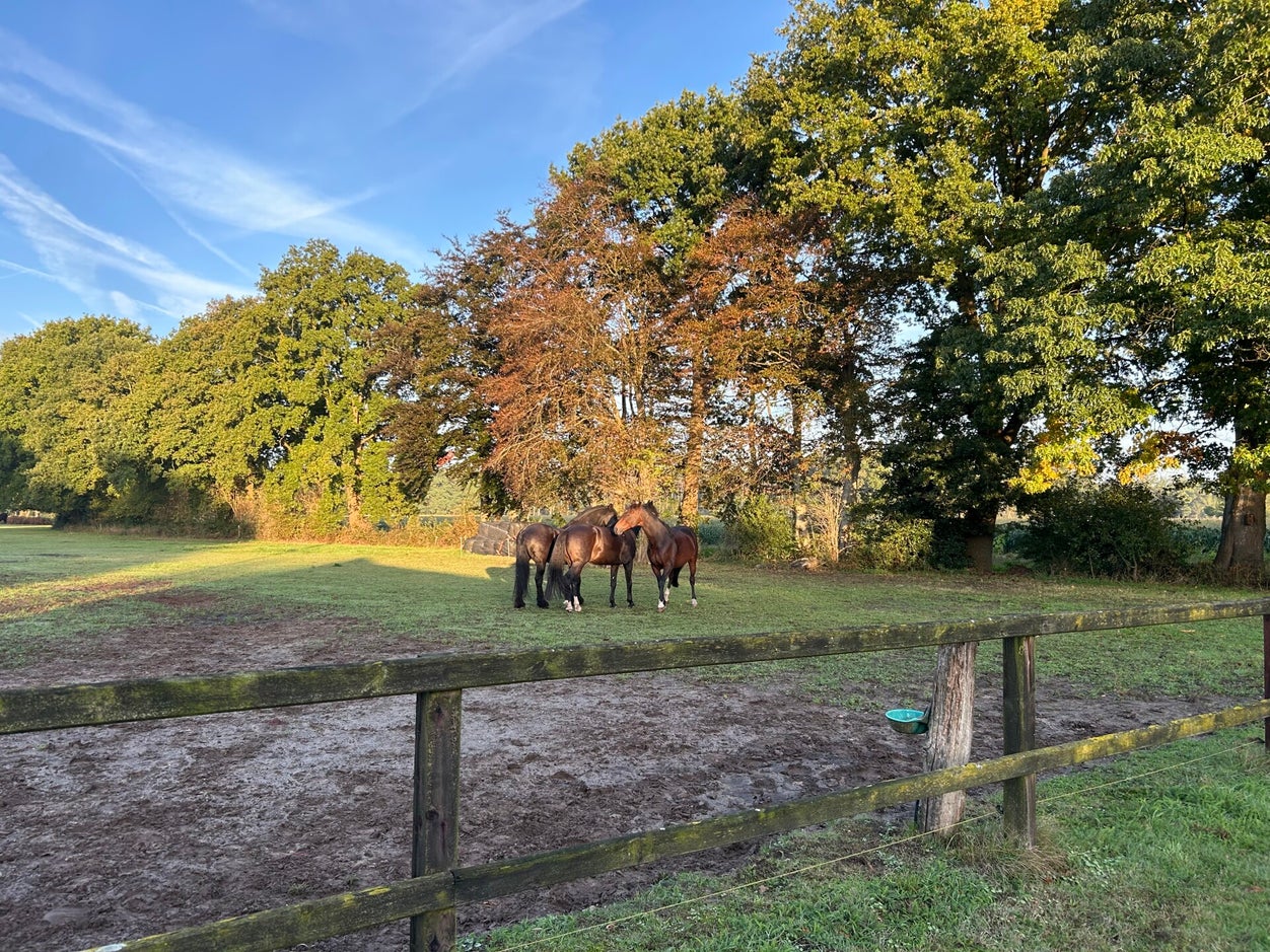 happycountrylife-in-het-zonnetje