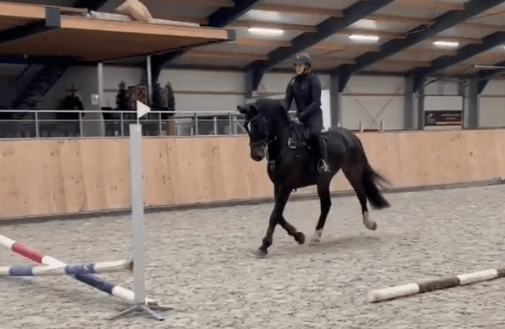 happycountrylife-kleintjes worden groot