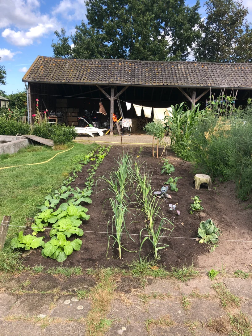 happycountrylife-moestuin
