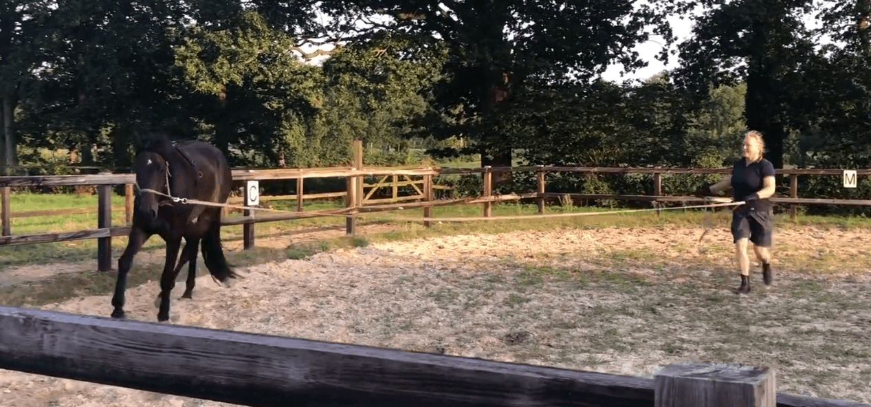 happycountrylife-raf