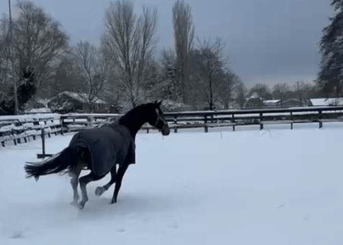 happycountrylife-sneeuwplezier