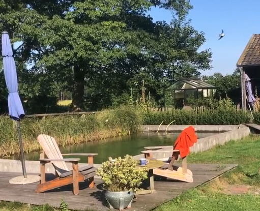 happycountrylife-zwaluwenfeest
