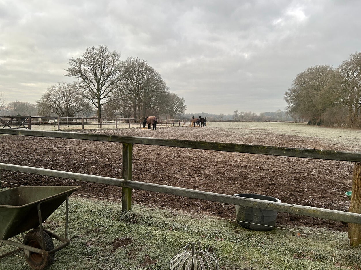 happycountrylife-het-vriest