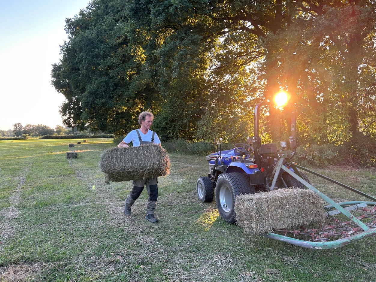 happycountrylife-hooien in augustus