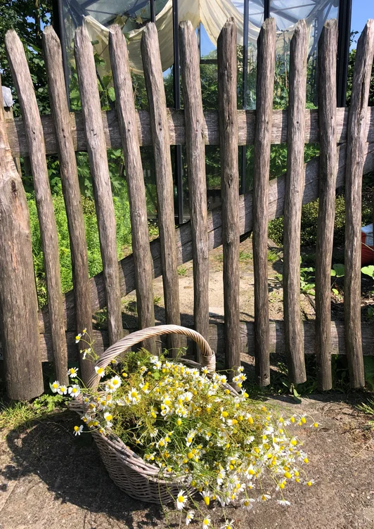 happycountrylife-kamillethee