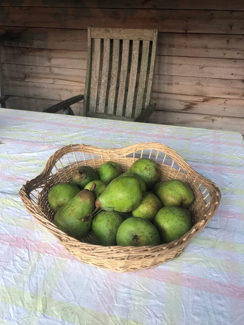 happycountrylife-peren