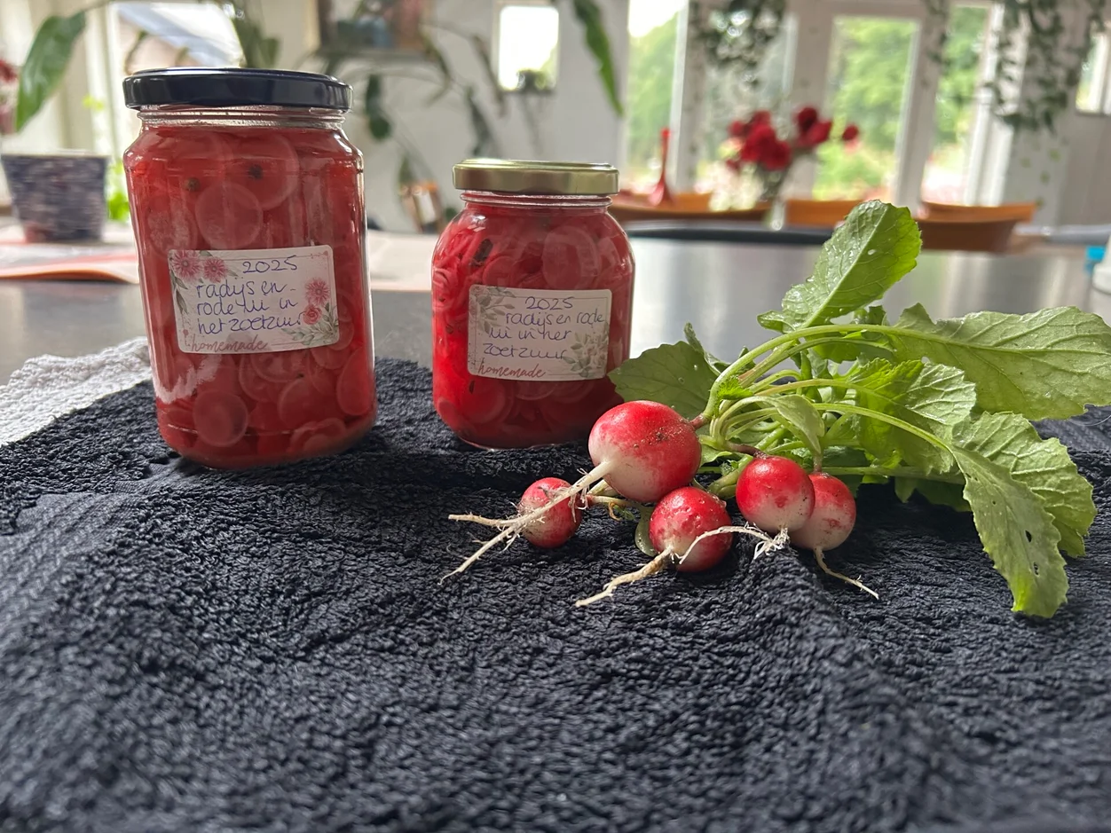 happycountrylife-radijs-in-zoetzuur