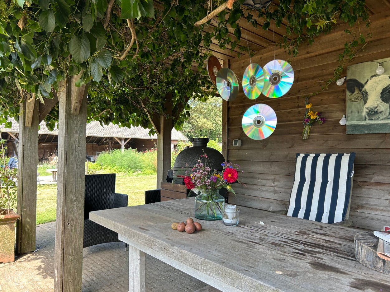 happycountrylife-vliegen