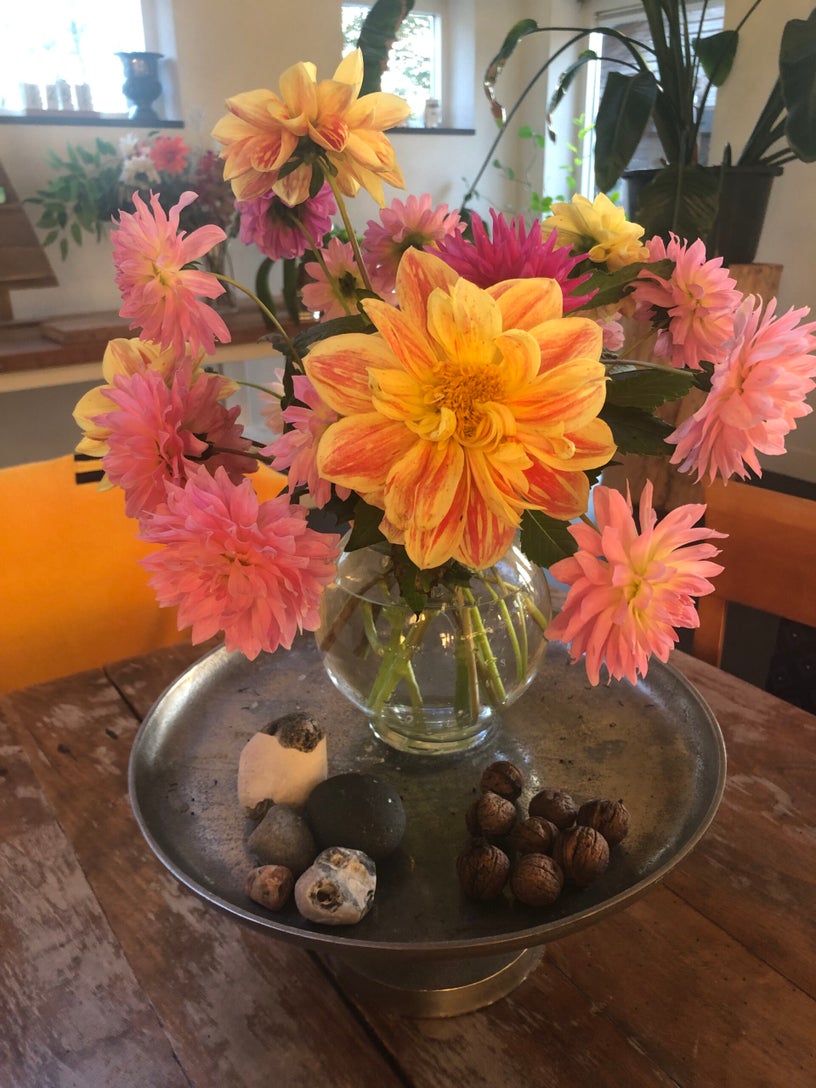 happycountrylife-laatste-dahlia-s