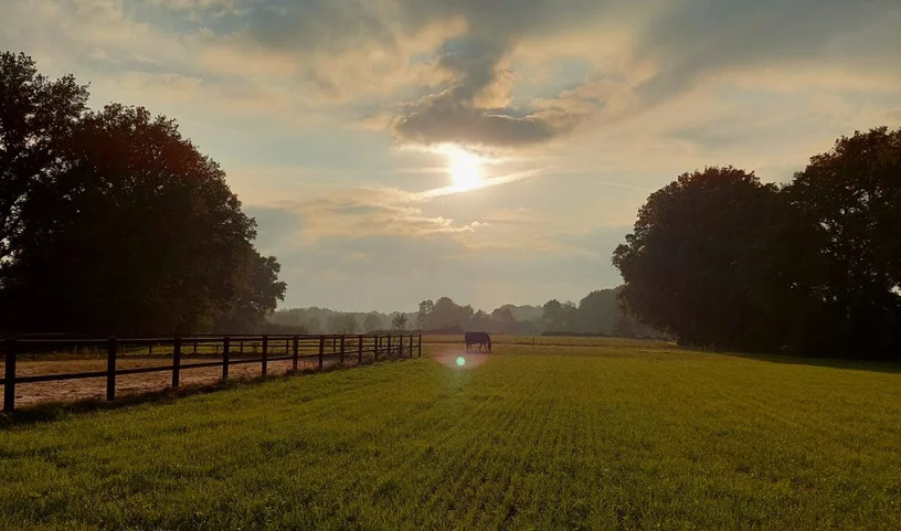 happycountrylife-dreigende luchten