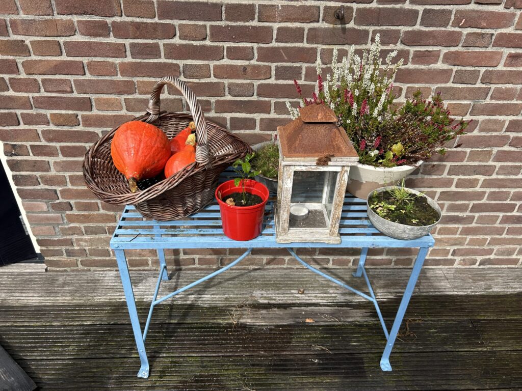 nieuwsbrief 10